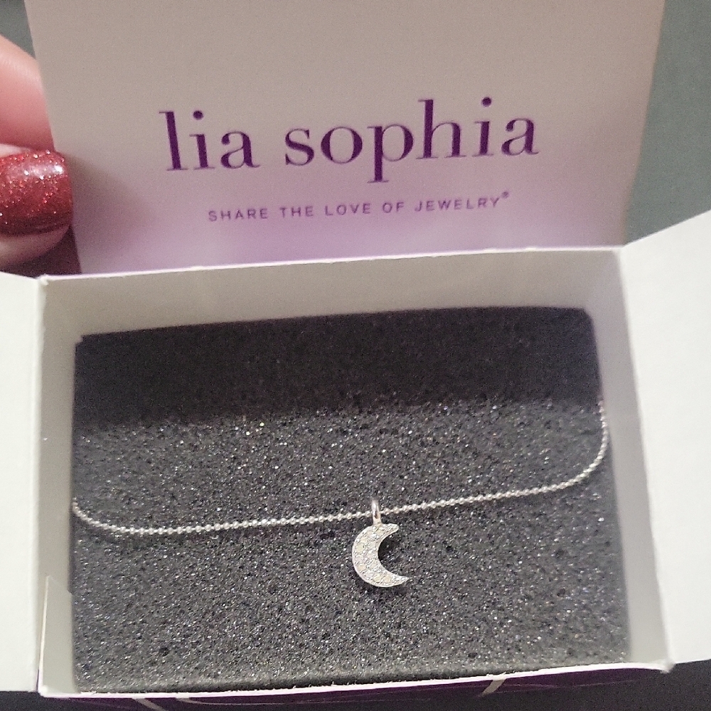 Silver Crescent Moon Necklace with Dainty Chain